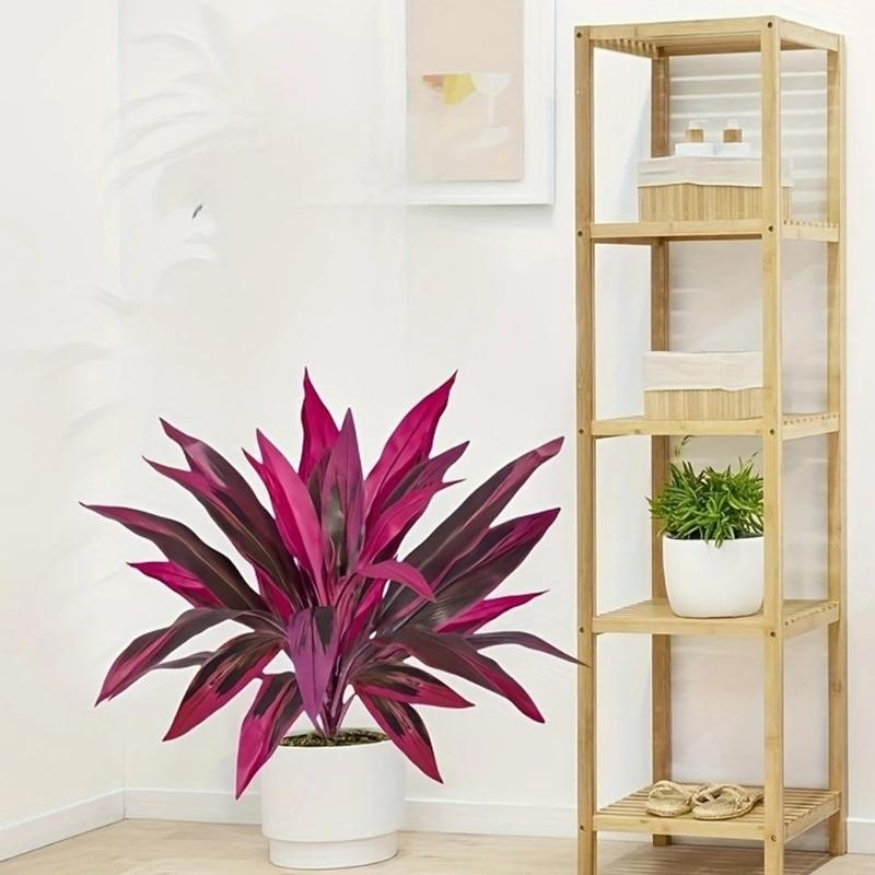 Dracaena Marginata - 60cm Tall Artificial Dracaena Marginata Plant