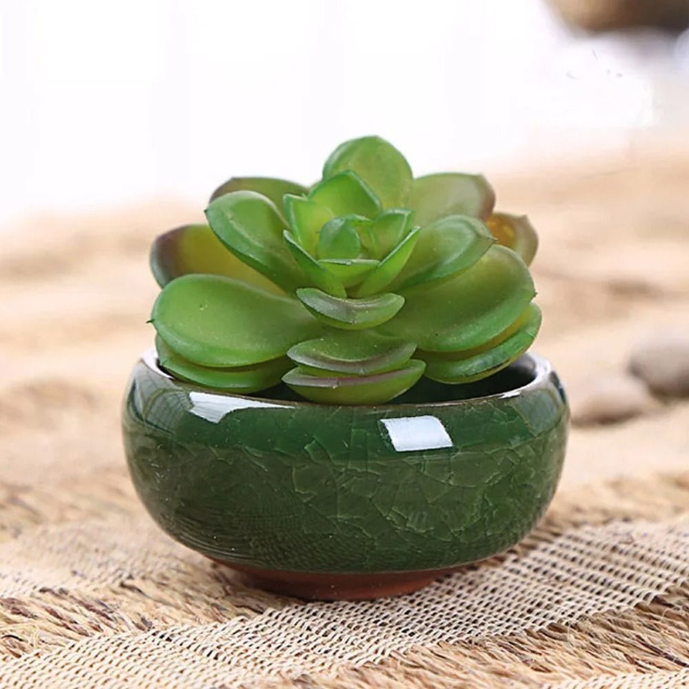 Echeveria Succulent - Breathable Ice-Crack Glaze Ceramic Flowerpots Thickened