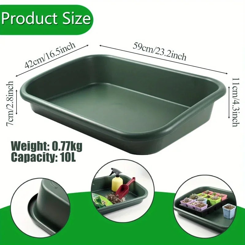 Echeveria Succulent - New Design Top-quality Garden tidy potted