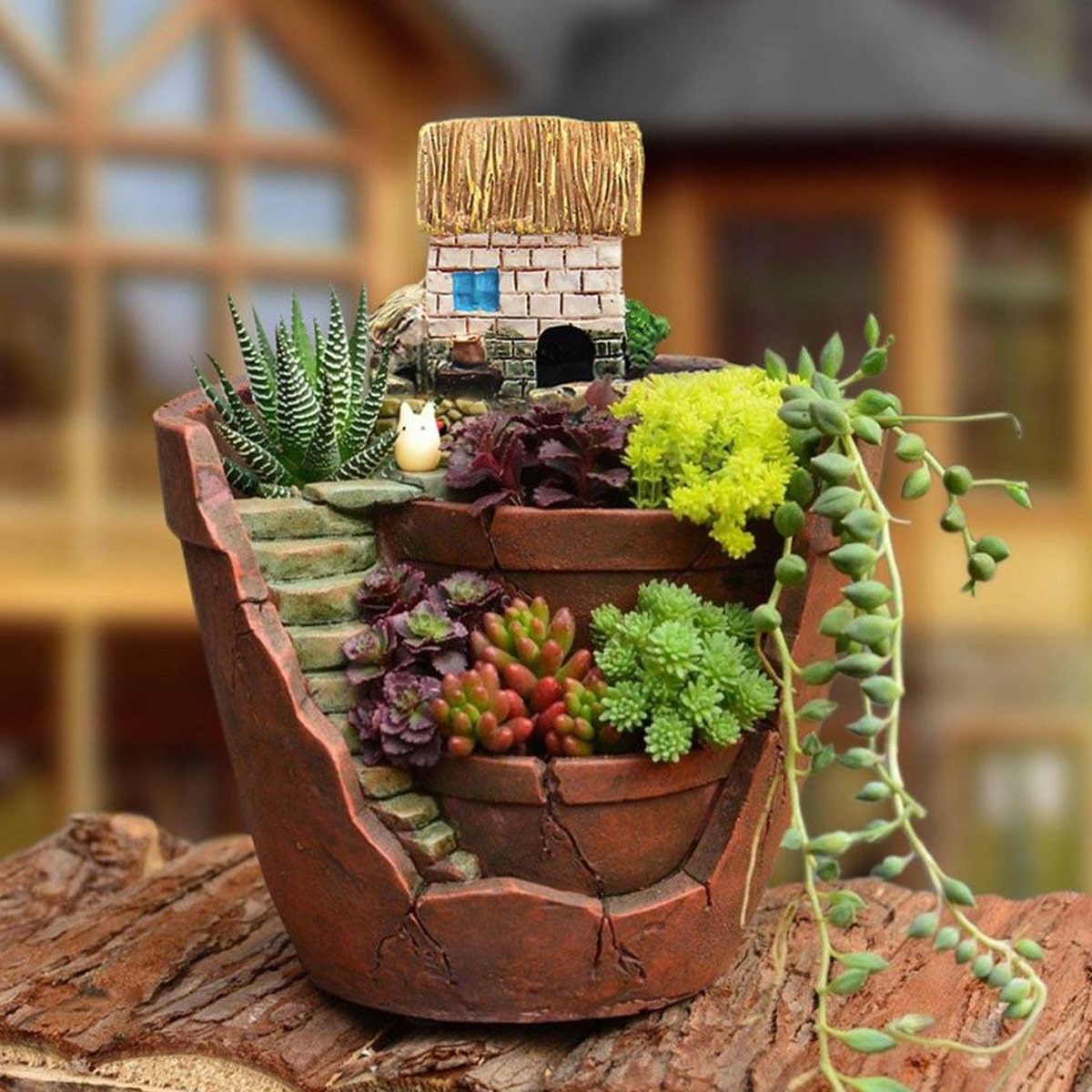 Echeveria Succulent - Nordic creative round succulent flower pot