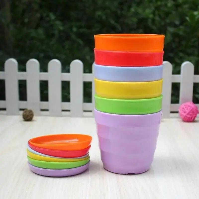 Echeveria Succulent - 1 Pcs Plastic Flower Pot Succulent