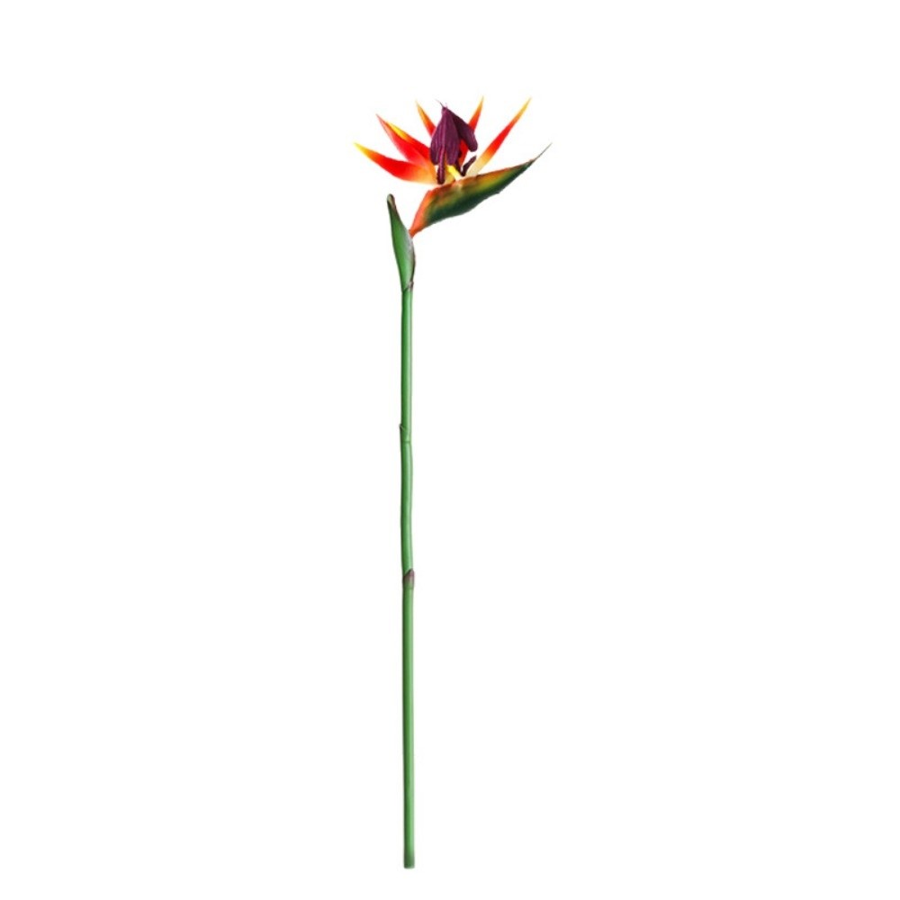 New Long Stem Artificial Bird  - Bird Paradise Strelitzia review and price