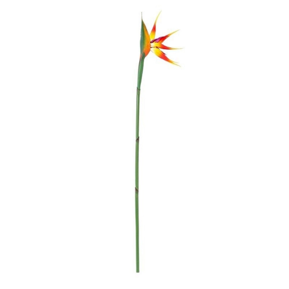Long Stem Artificial Bird of P - Bird Paradise Strelitzia review and price
