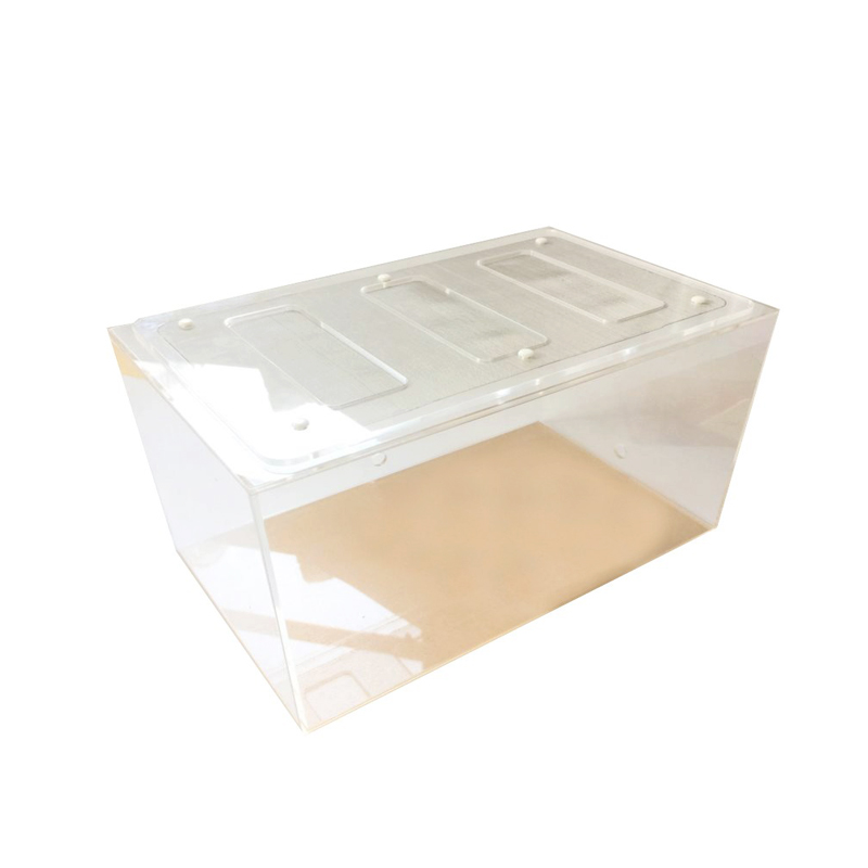 Acrylic Finished Seamless Ant  - Begonia Rex review and price
