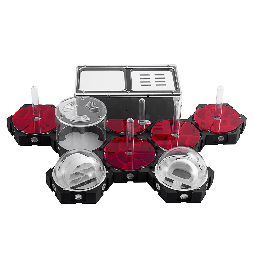 3D Printing Ant Farm Infinitel - Begonia Rex review and price