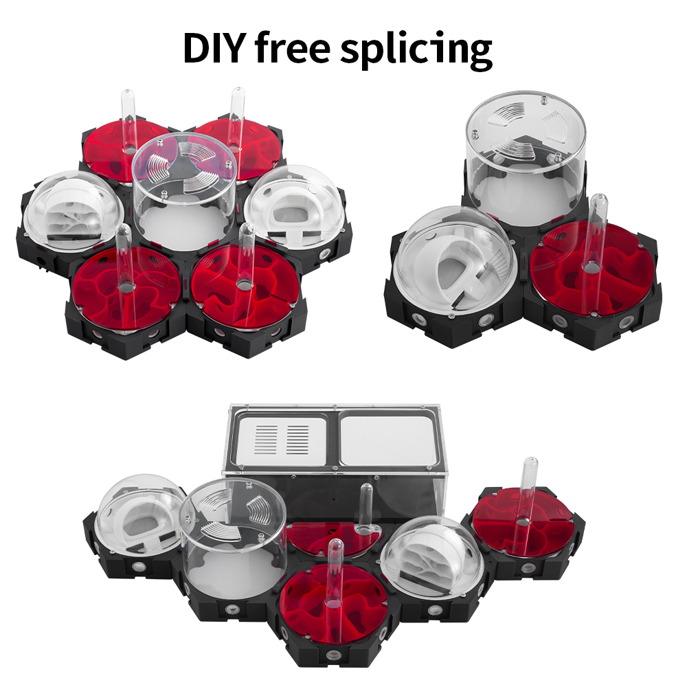 3D Printing Ant Farm Infinitel - Begonia Rex review and price