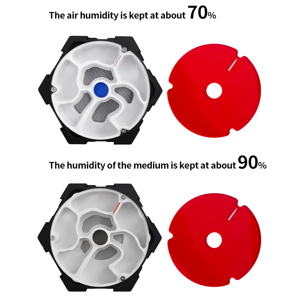 3D Printing Ant Farm Infinitel - Begonia Rex review and price