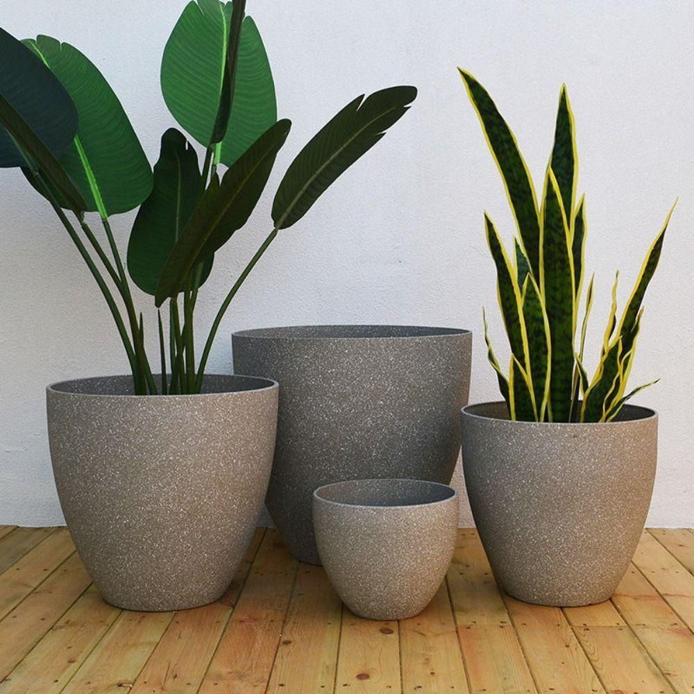 Frosted Imitation Stone Bonsai - Aloe Vera Pot review and price