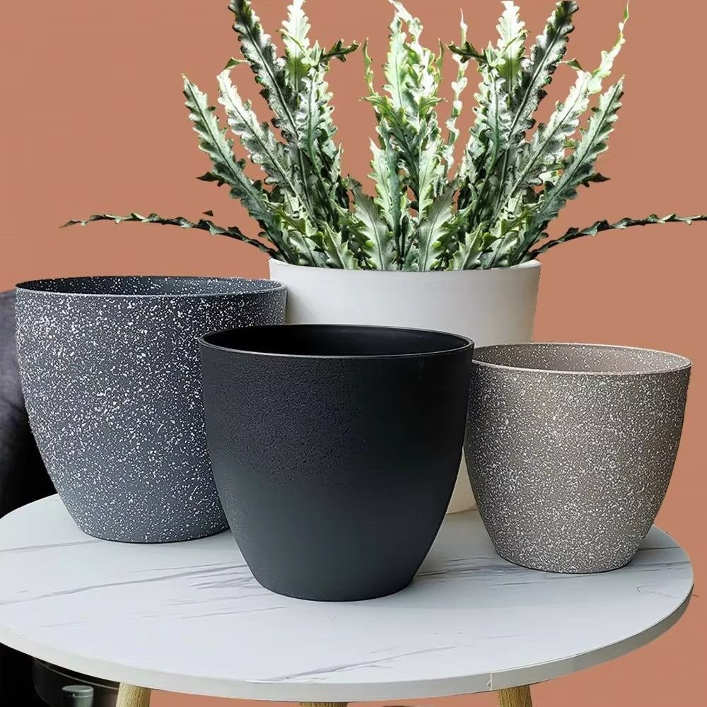 Frosted Imitation Stone Bonsai - Aloe Vera Pot review and price