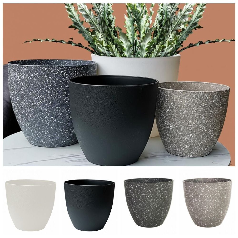 Frosted Imitation Stone Flower - Aloe Vera Pot review and price