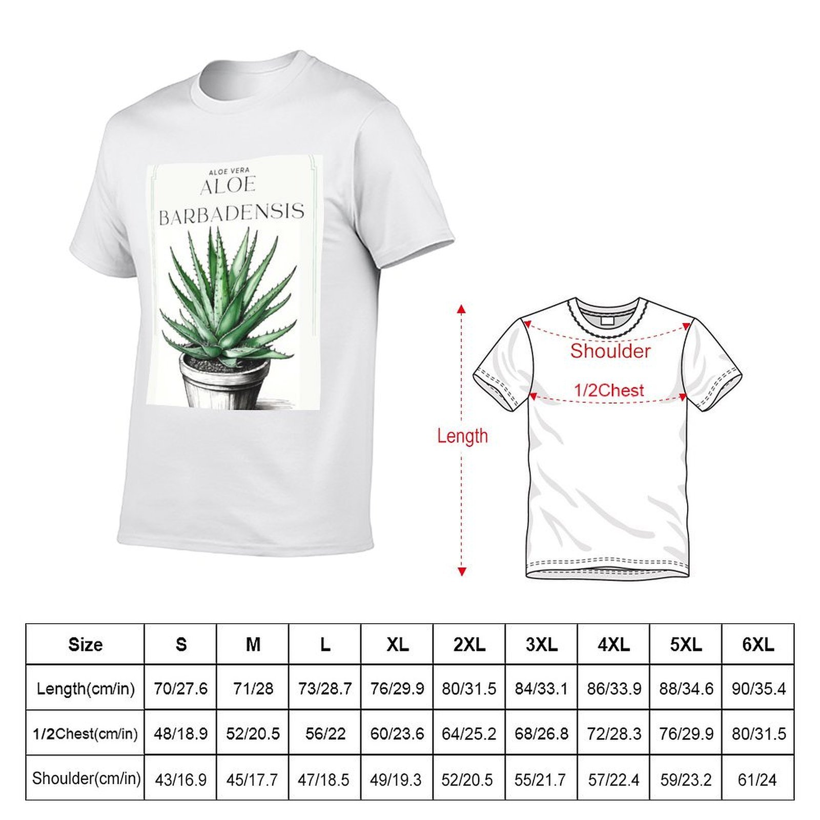 Botanical Aloe Vera in pot rus - Aloe Vera Pot review and price