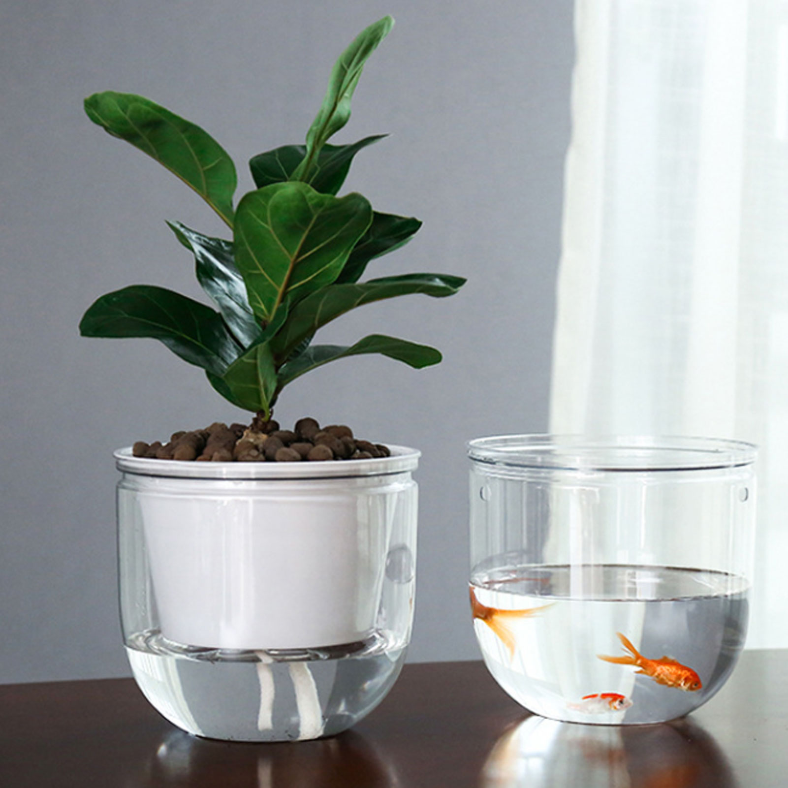 Automatic Self Watering Plant  - Spider Plant Hanging review and price