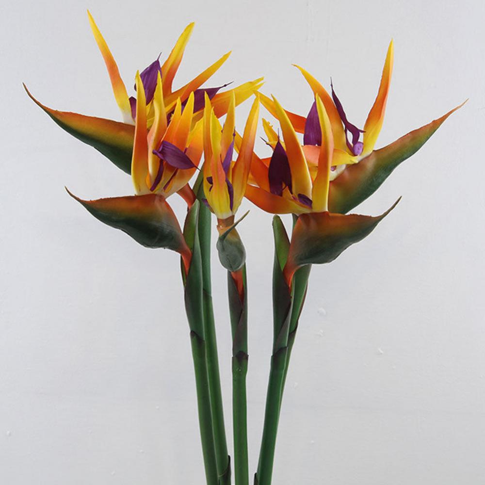 1pc 80cm Flower Bird Of Paradi - Bird Paradise Strelitzia review and price