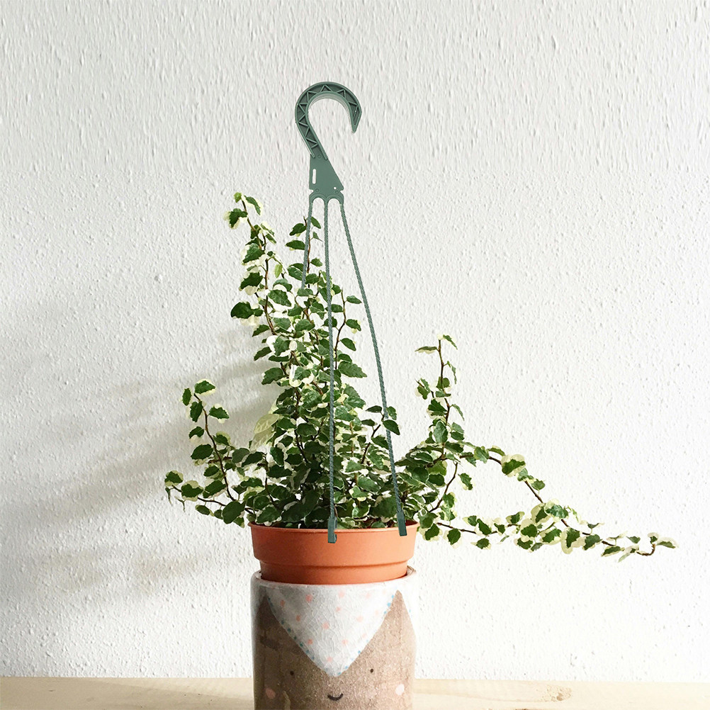 5Pcs Hanging Planter Hooks Set - Spider Plant Hanging review and price
