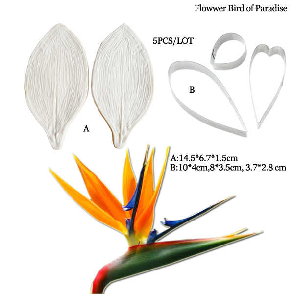 Large Gumpaste Strelitzia Bird - Bird Paradise Strelitzia review and price