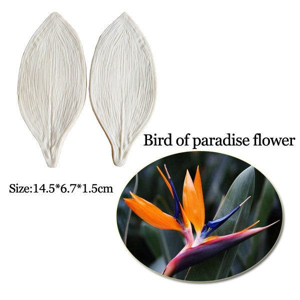 Large Gumpaste Strelitzia Bird - Bird Paradise Strelitzia review and price