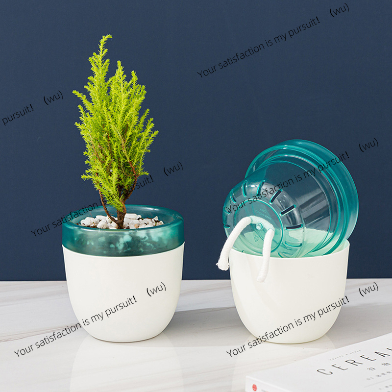 Automatic Water Absorption Laz - Aloe Vera Pot review and price