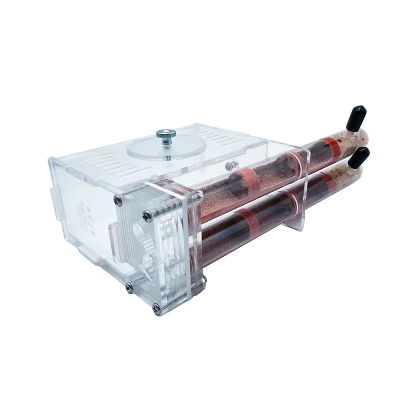 DIY Ant Farm 2 pcs 18-180mm Gy - Begonia Rex review and price