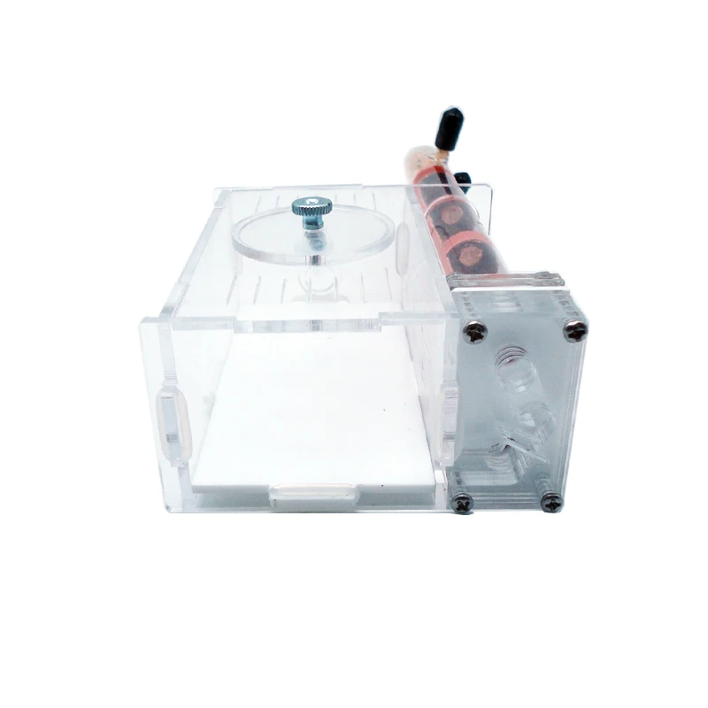 DIY Ant Farm 2 pcs 18-180mm Gy - Begonia Rex review and price
