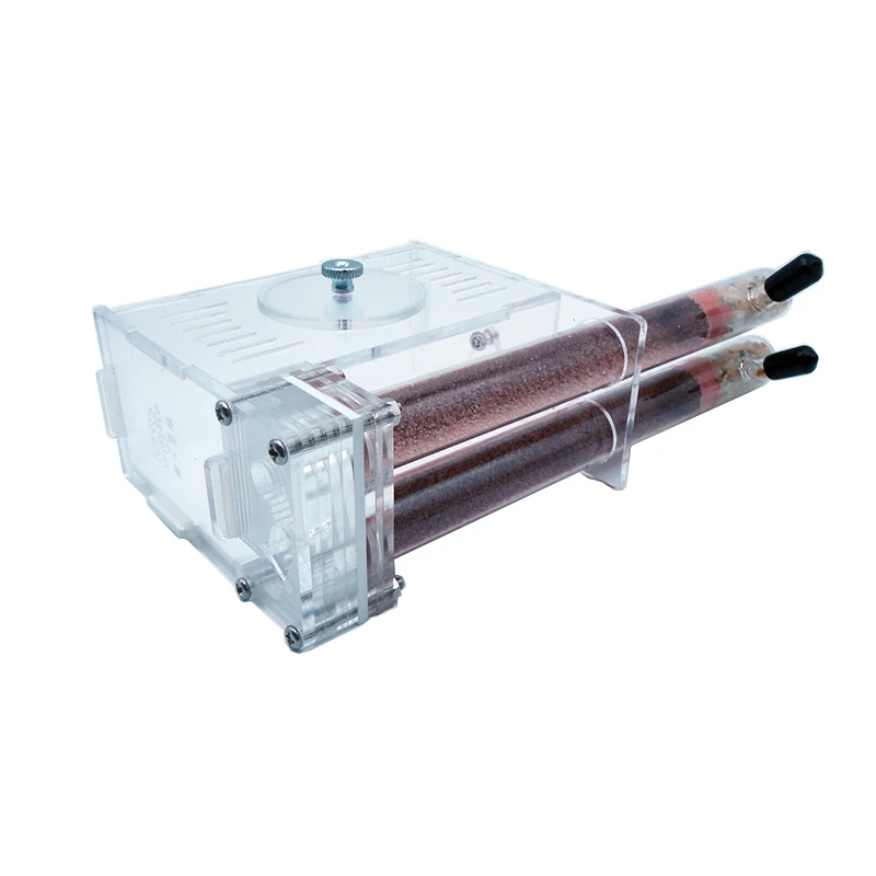DIY Ant Farm 2 pcs 18-180mm Gy - Begonia Rex review and price