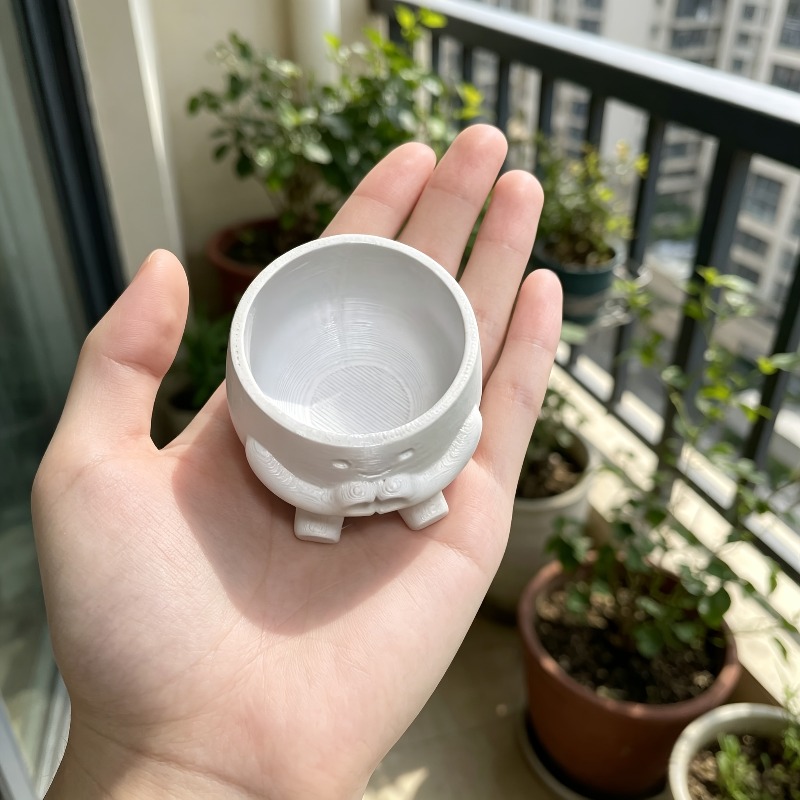 1 PCS Cute Lucky Heart Flower  - Echeveria Succulent review and price