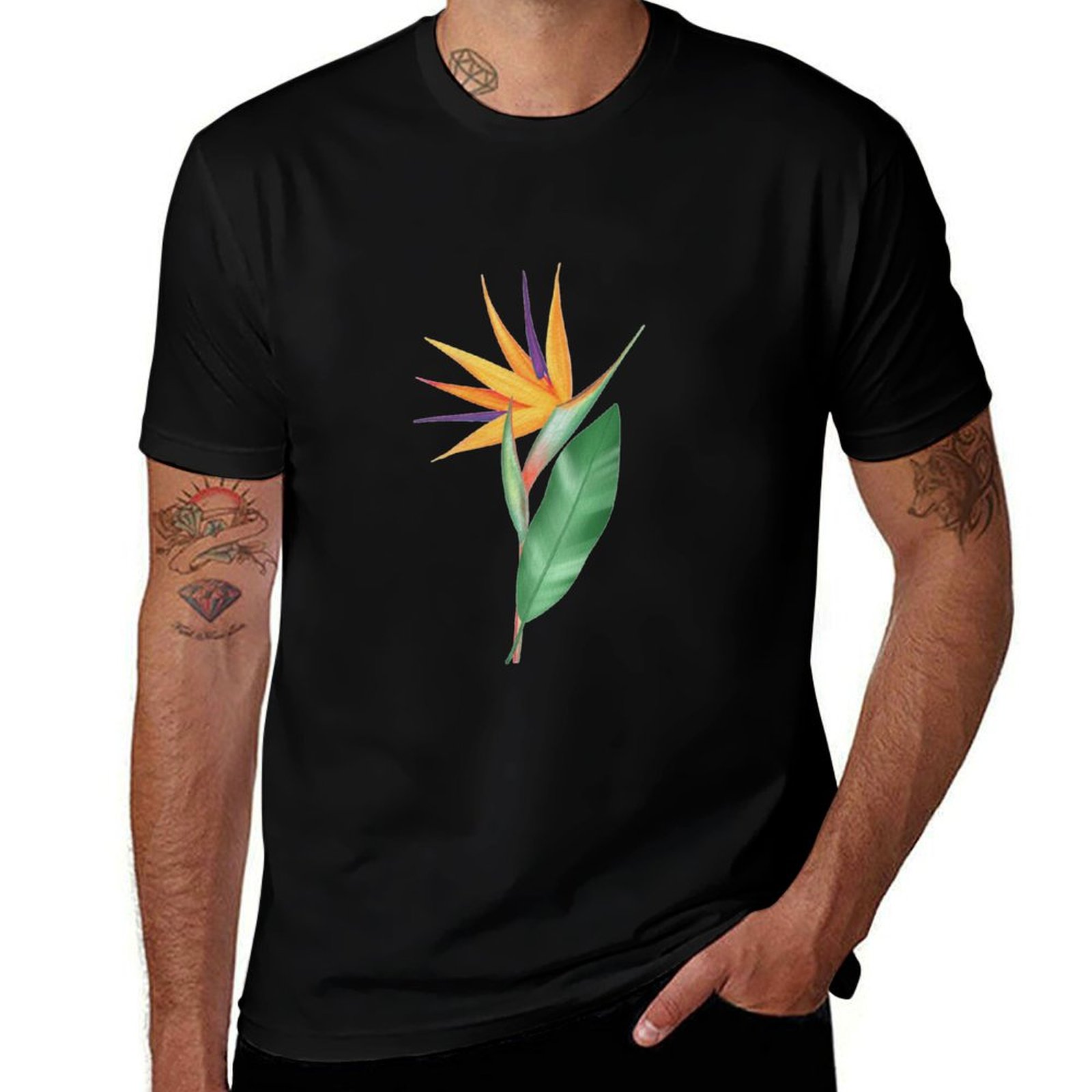 Watercolor bird of paradise fl - Bird Paradise Strelitzia review and price
