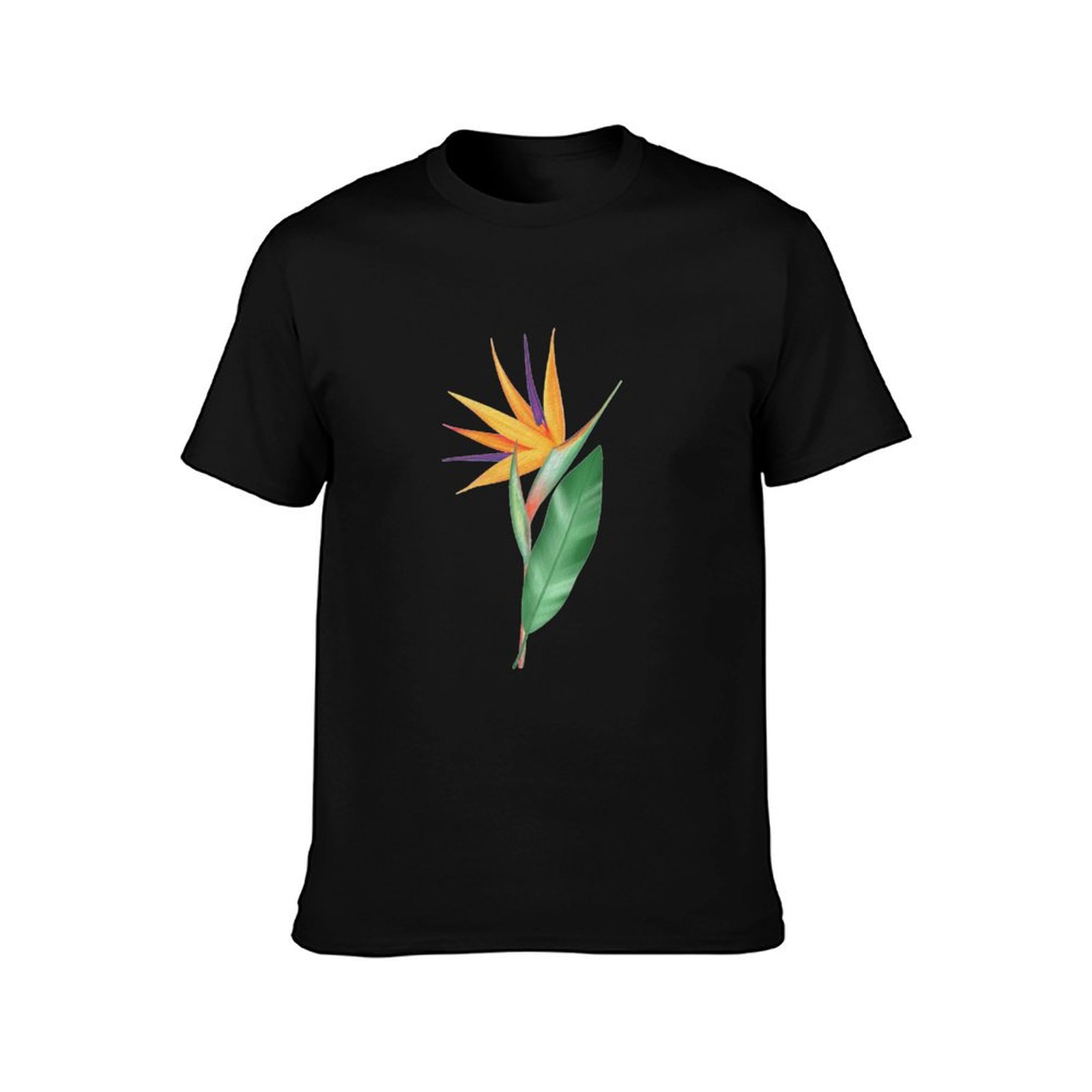 Watercolor bird of paradise fl - Bird Paradise Strelitzia review and price