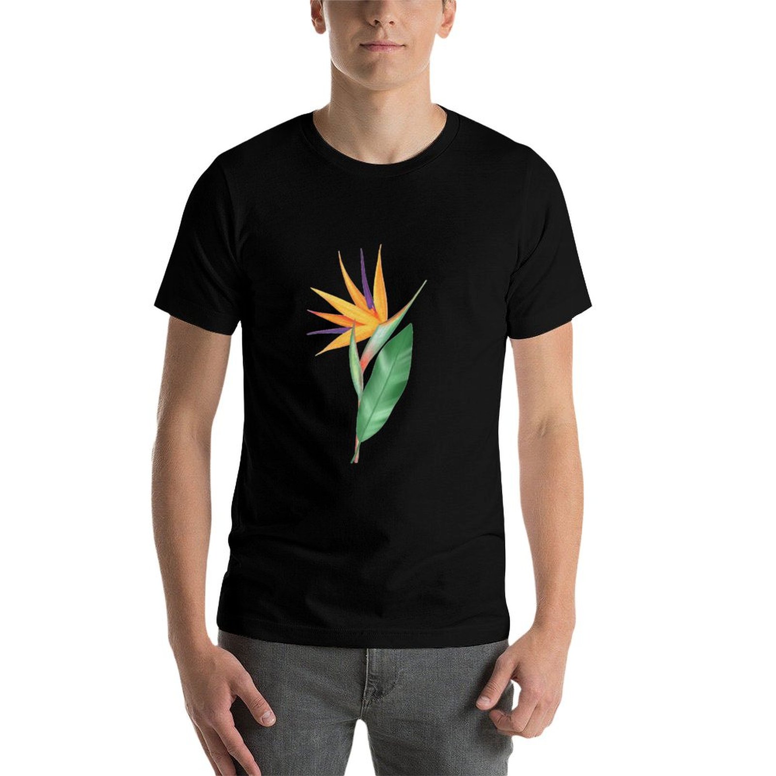 Watercolor bird of paradise fl - Bird Paradise Strelitzia review and price