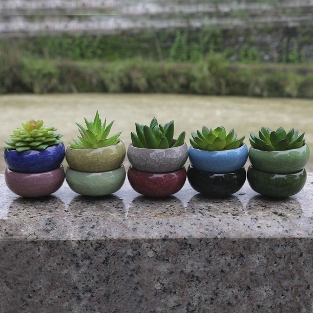 Breathable Ice-Crack Glaze Cer - Echeveria Succulent review and price