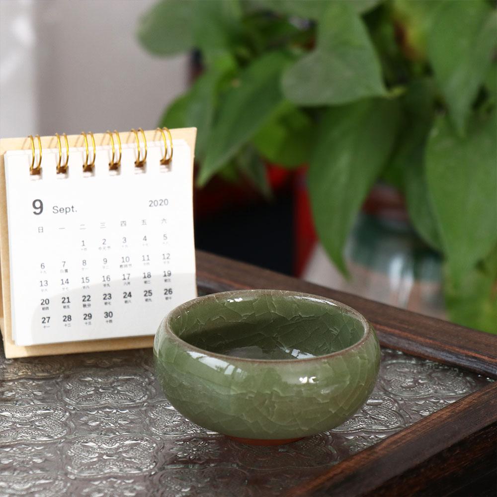 Breathable Ice-Crack Glaze Cer - Echeveria Succulent review and price