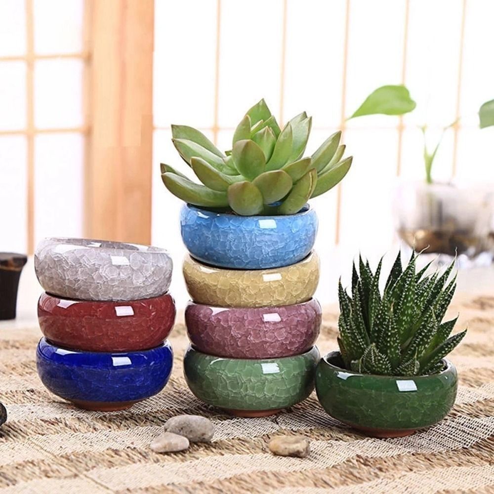 Breathable Ice-Crack Glaze Cer - Echeveria Succulent review and price