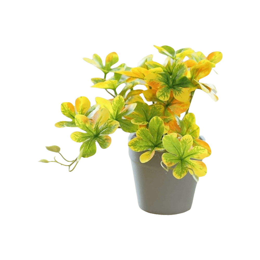 Bonsai Artificial Bonsai Plant - Spider Plant Hanging review and price