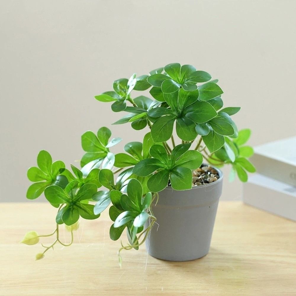Bonsai Artificial Bonsai Plant - Spider Plant Hanging review and price