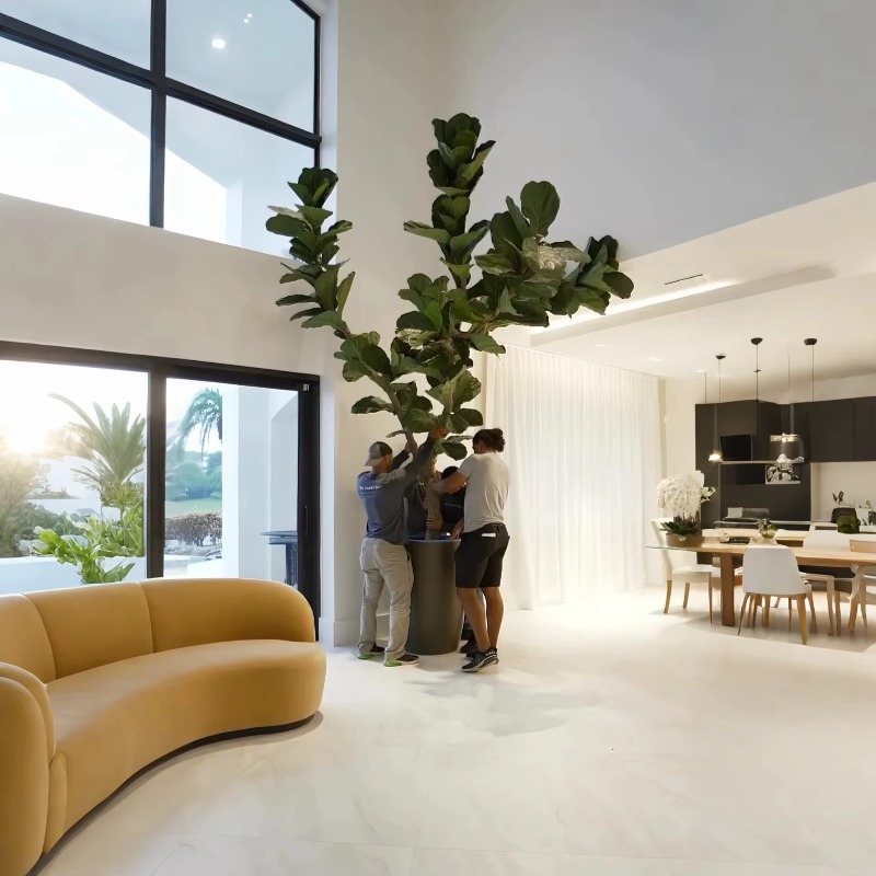 Artificial Plants Indoor Potte - Ficus Lyrata Tree review and price