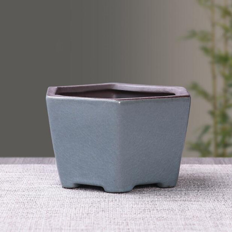 Retro Ceramic Flower Pot Aspar - Echeveria Succulent review and price