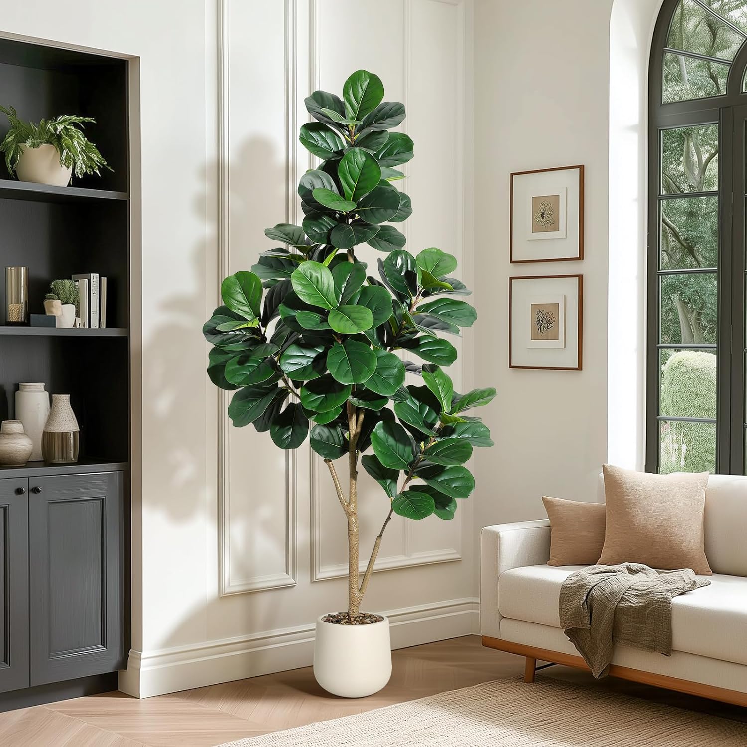 4-7 FT Fiddle Leaf Fig Tree Ar - Ficus Lyrata Tree review and price