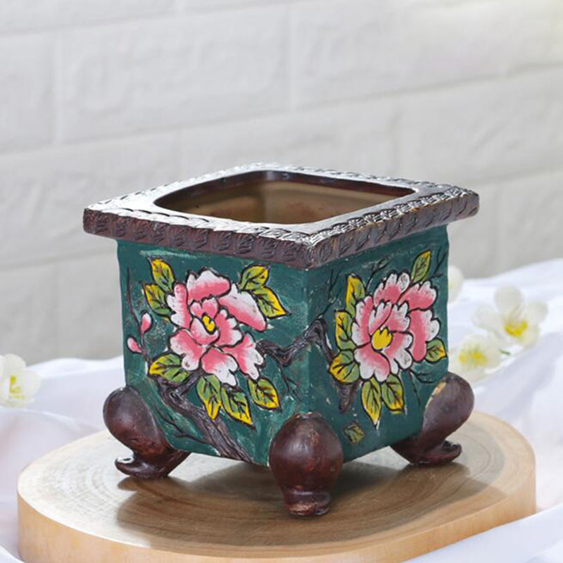 Korean Style Handpainted Flora - Echeveria Succulent review and price