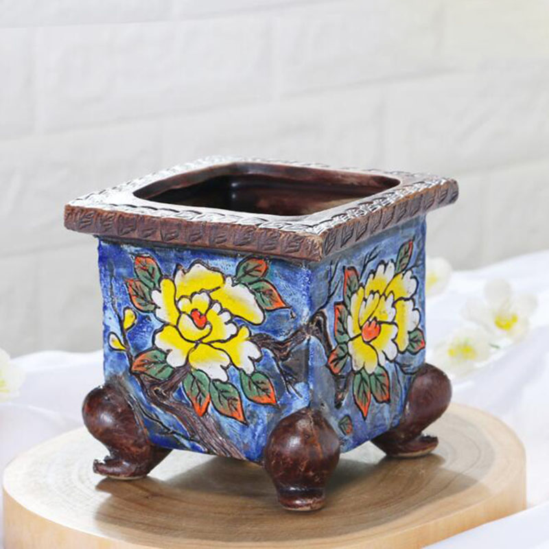 Korean Style Handpainted Flora - Echeveria Succulent review and price