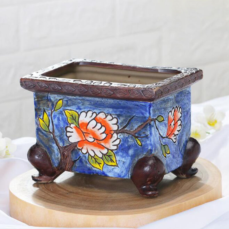 Korean Style Handpainted Flora - Echeveria Succulent review and price