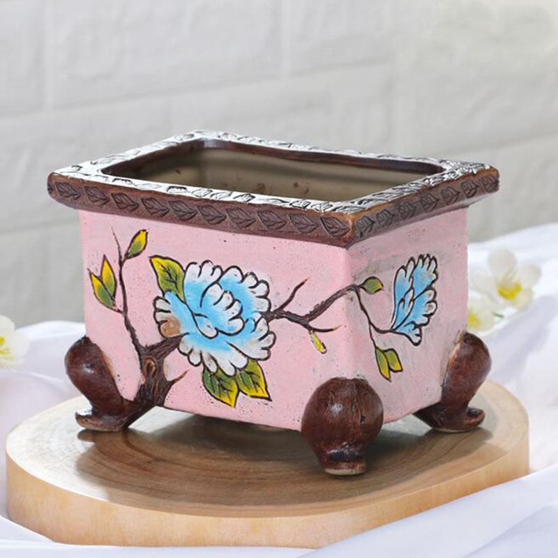 Korean Style Handpainted Flora - Echeveria Succulent review and price