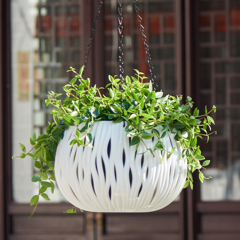 Hanging pot, plastic personali - Spider Plant Hanging review and price