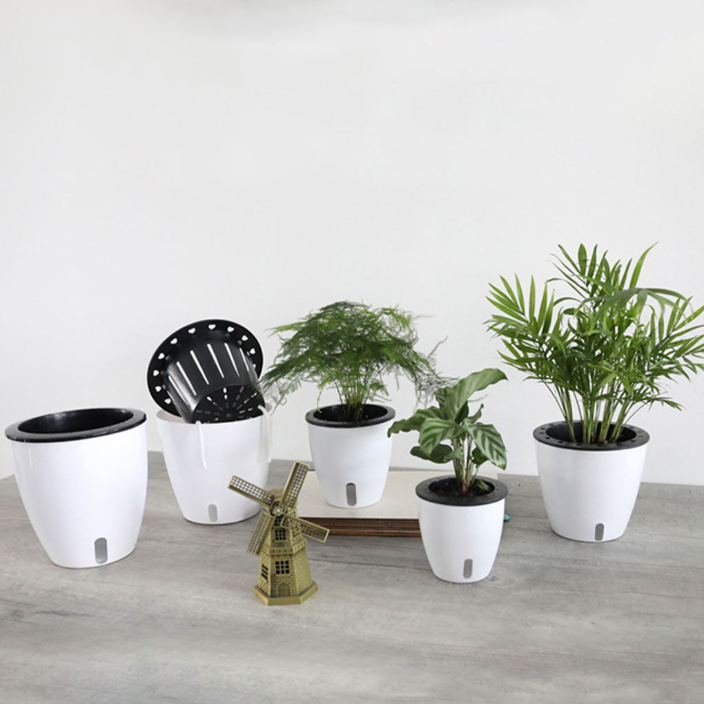 White Portable And Eco-friendl - Aloe Vera Pot review and price