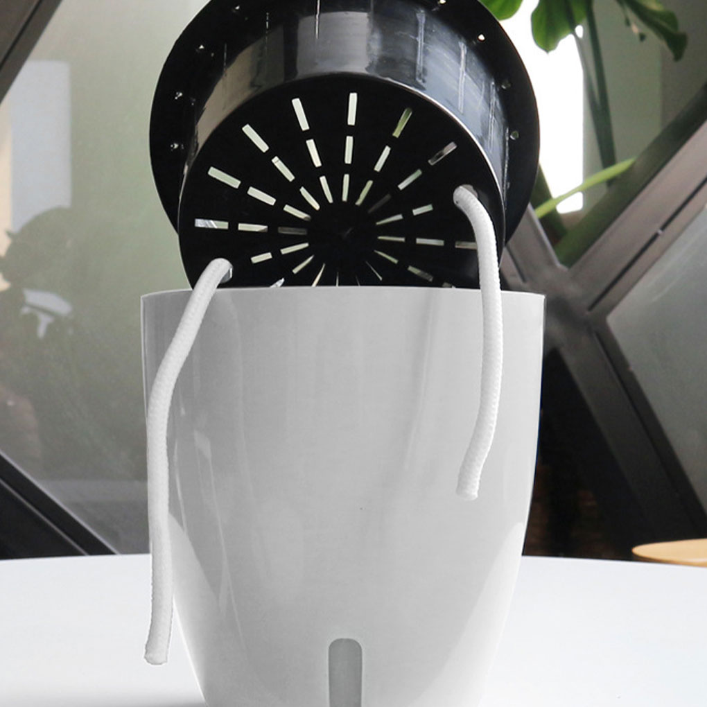 White Portable And Eco-friendl - Aloe Vera Pot review and price