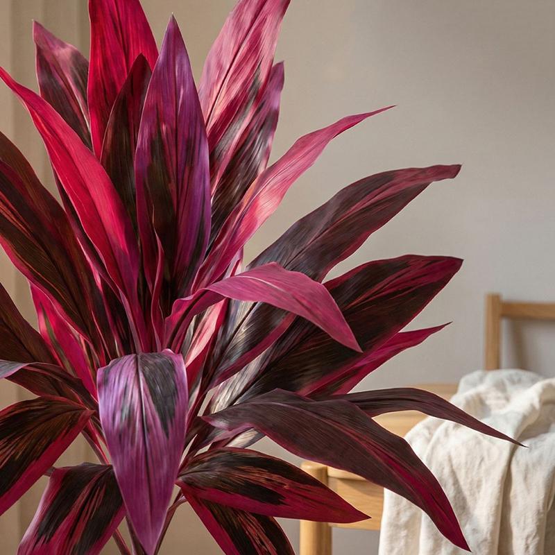 Large Artificial Dracaena Marg - Dracaena Marginata review and price