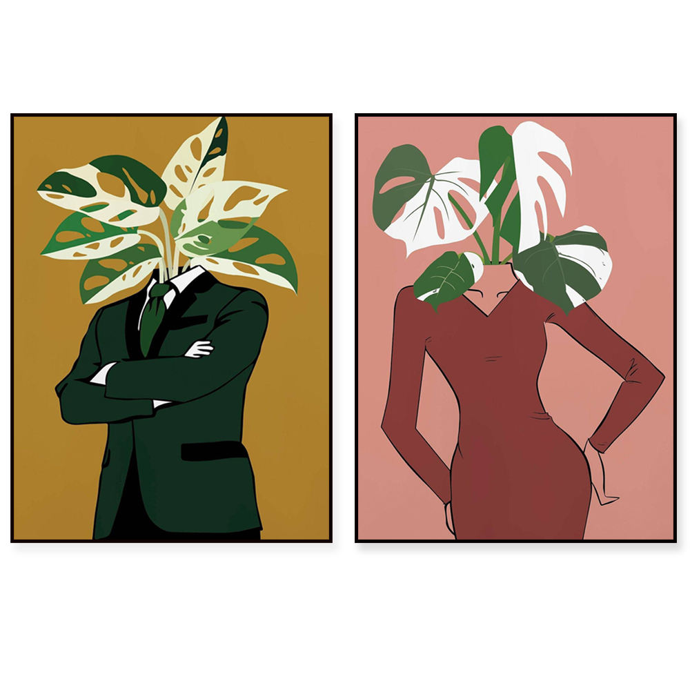 Monstera Albo in a burgundy dr - Monstera Adansonii review and price