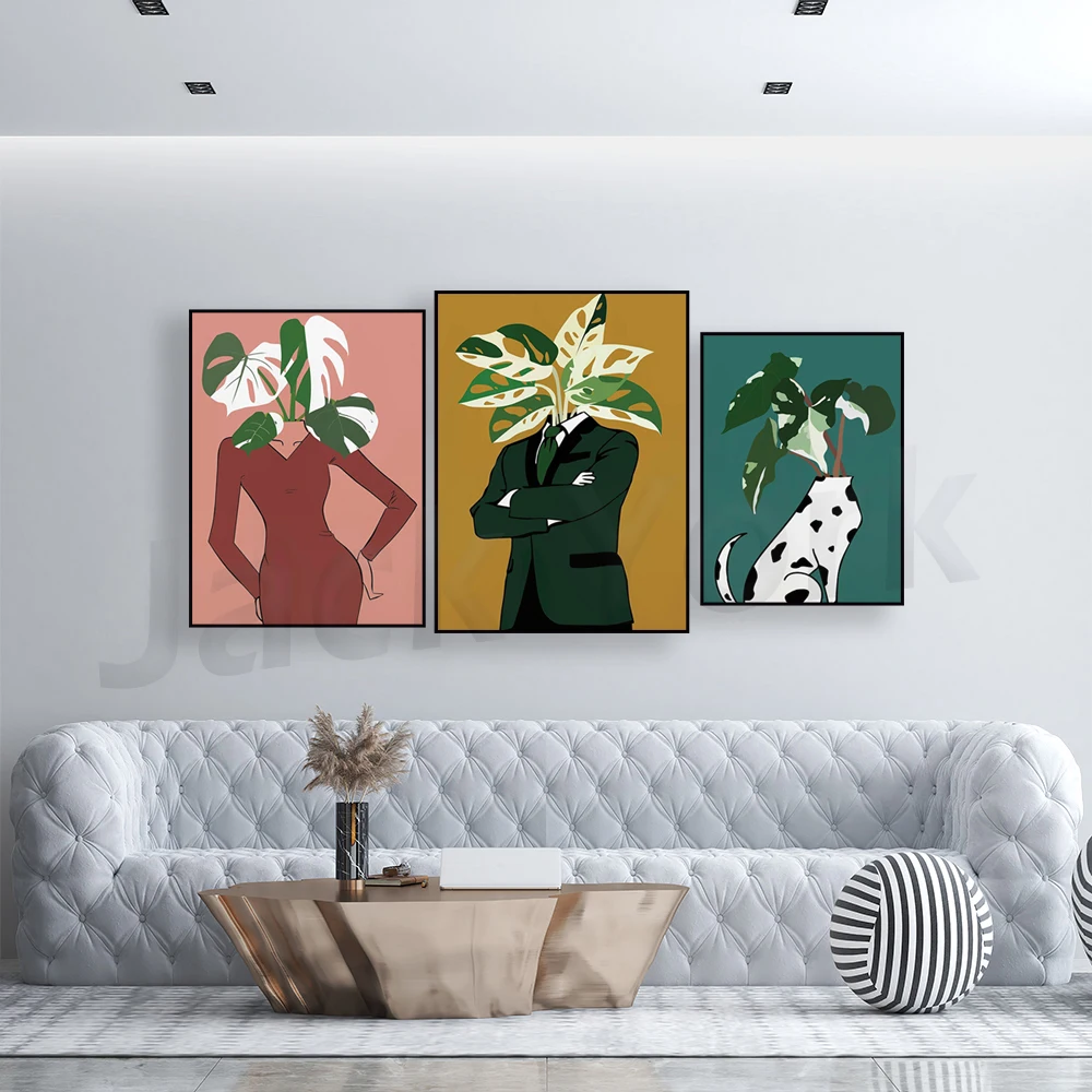 Monstera Albo in a burgundy dr - Monstera Adansonii review and price