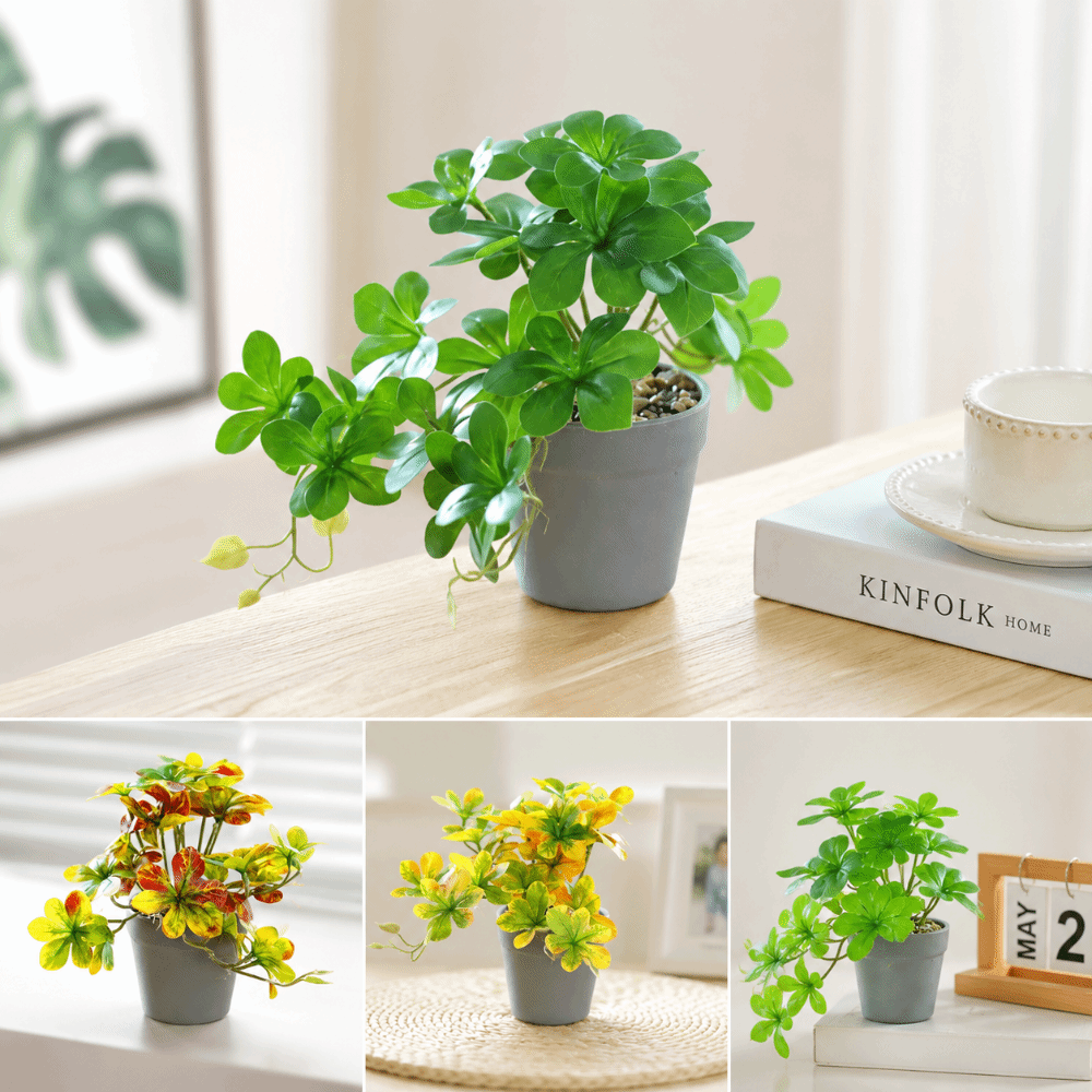 Bonsai Artificial Bonsai Plant - Spider Plant Hanging review and price