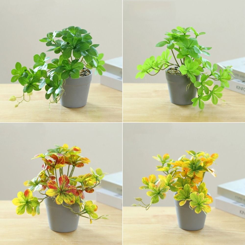 Bonsai Artificial Bonsai Plant - Spider Plant Hanging review and price