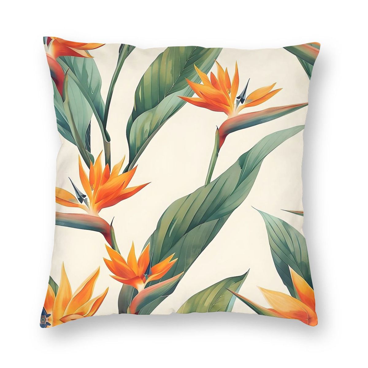 Bird Of Paradise Strelitzia Sq - Bird Paradise Strelitzia review and price