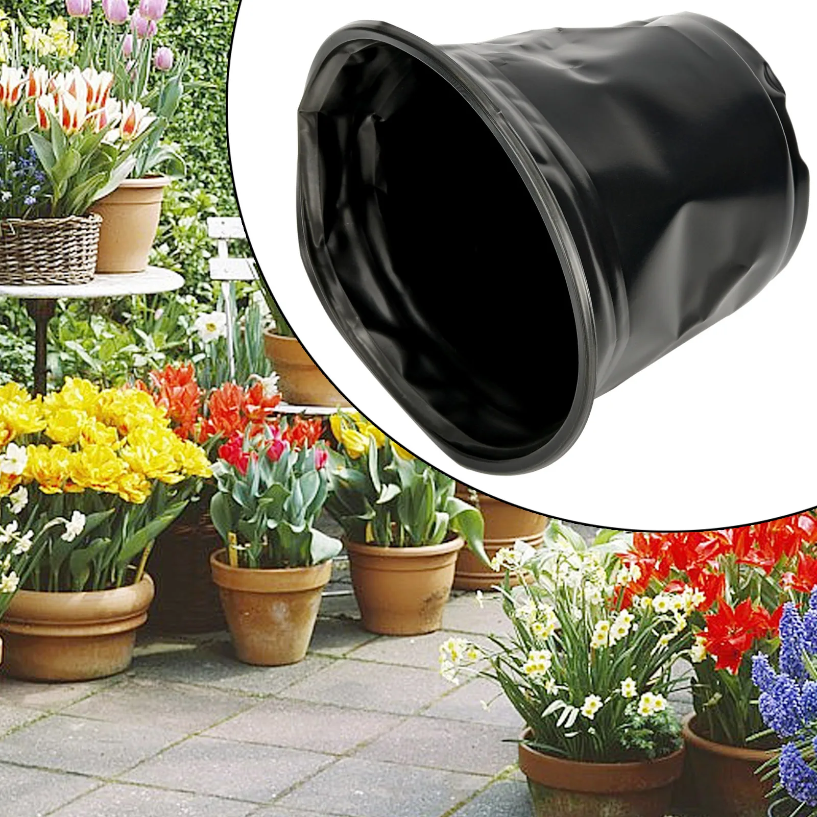 High Quality New Flowerpot Pla - Aloe Vera Pot review and price